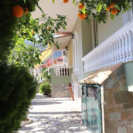 Nerajoula House Διαμέρισμα Πάργα Εξωτερικό φωτογραφία