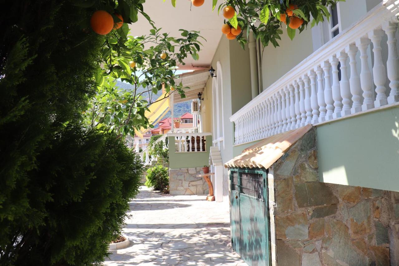 Nerajoula House Διαμέρισμα Πάργα Εξωτερικό φωτογραφία